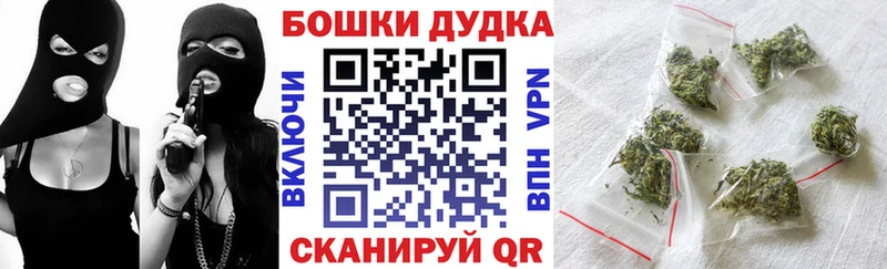 Конопля семена  Купить  Кола 